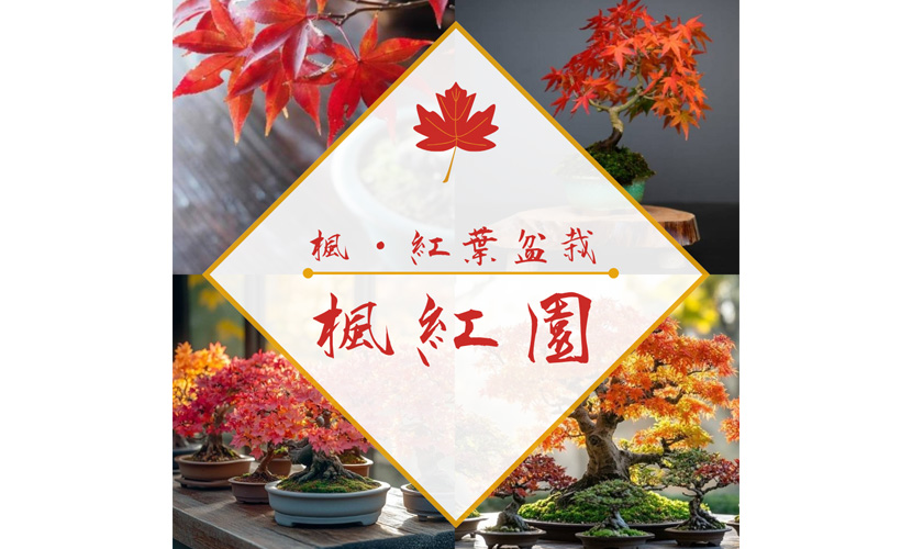イベント出店 楓紅園