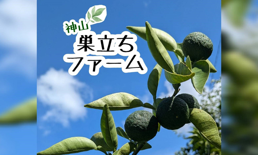 イベント出店 神山巣立ちファーム