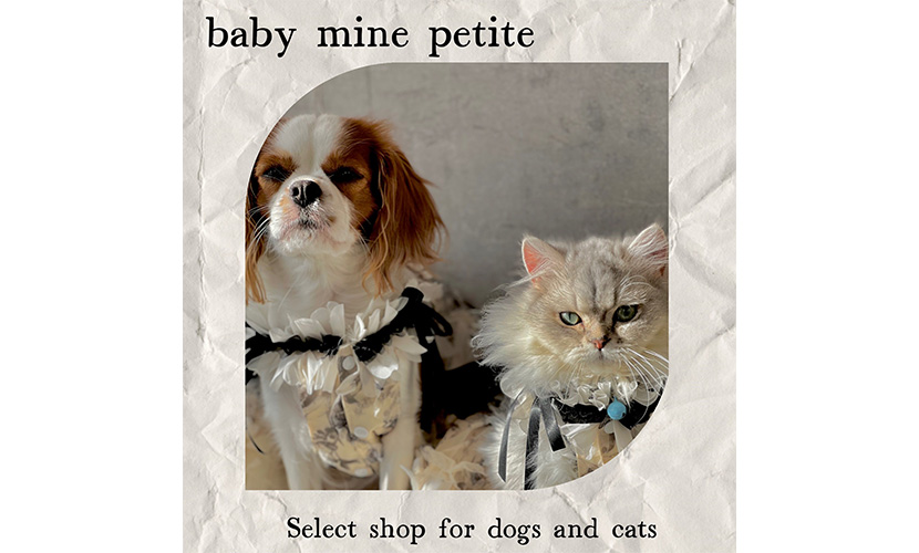 イベント出店 baby mine petite