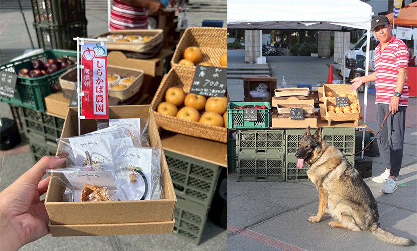 イベント出店 しらかば農園