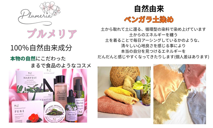 イベント出店 合同会社プルメリア