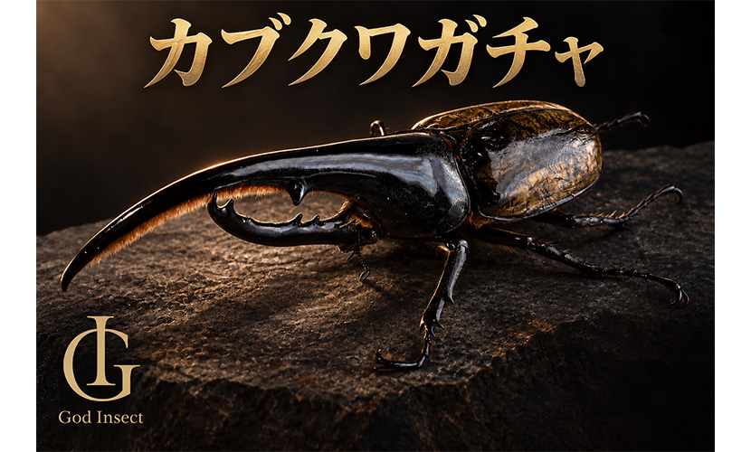 イベント出店 God Insect