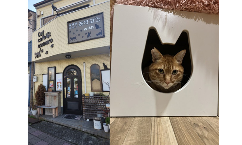 イベント出店 asunarocafe