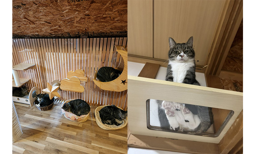 イベント出店 asunarocafe1